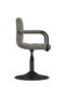 Swivel Dining Chairs 2 pcs Light Grey Velvet - 4