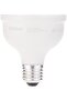 1000 : LED ECO HI-WATT CLS A 18W DAY LIGHT SCREW - 2