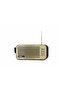 NNS Solar Speaker with FM Radio