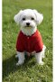 Handmade Welsoft Dog Jacket - Dog Clothing - Winter Coat - Small Breed - Medium Breed - Large Breed - 2