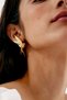 Women's Design Earrings with Swallow Bird Figure