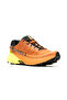 Agility Peak 5 Gtx Men's Outdoor Shoes Orange - 3