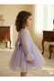 Lilac Long Tulle Sleeve Detail Tutu Baby Girl Dress - 2