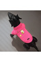 Cute Baby Pink Sweater for Cat and Dog - 6