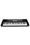 49 Keys with Microphone - 2