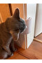 Cat Corner Scratching & Massage Brush (Self-Scratching Device) - 4