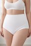 Yıldız Modal Shaping / Sculpting Women's Panties Set of 3 High Waist with Non-Slip Silicone Band - 3