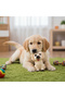 River World Plastic Toy Dog Shaped with Sound for Pets - 2