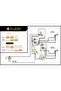 FLEOR Prewired Guitar Wiring Harness Kit 2T2V 500K 3 Way Switch Circuit for SG Guitar Parts Repla... - 6