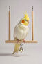 Wooden Bird Swing |   12.5 × 13.5 cm Bird Cage Toy |   Swinging Wooden Bird Activity Accessory