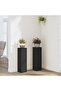 Plant Stand 2pcs Black 17x17x60 cm Engineered Wood