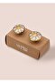 Brass Drawer and Cabinet Handle Set of 2 Klp18