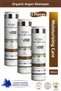 Organic Argan & Jojoba Shampoo 3 Pieces X 300 ml |   Copper Peptide Hair Care |   Anti-Breakage
