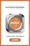 Pure Pigment Cream to Powder Eyeshadow – Amber – Q75