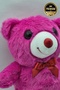 Cute Plush Teddy Bear 25 cm – Premium Quality Toy (100% Domestic Production) - 2