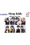 Stray Kids Karma Album Karma (Skzoo Ver) Photocard Set (8Pcs) Fanmade