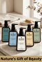 Olive Oil Based 5-Piece Liquid Soap Set |   Gentle Cleansing Without Parabens, Sls & Sles |   5 X 500 ml - 8