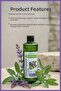 Botanics Sage Extract Strengthening Shampoo for Weak Hair, Paraben & Silicone Free 500ml - 2