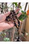 Natural Tiger Eye Prayer Tasbih, 33 Beads, 10mm , Dark Brown Tassel - 4