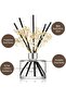 Preserved Flower Reed Diffuser - Flower Garden - 6.7oz - 5