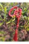Natural Red Agate Prayer Tasbih, 33 Beads, 10mm Round Polished Stones with Tassel for Meditation - 2