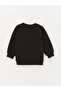 Crew Neck Baby Boy Sweatshirt and Tracksuit Bottom 2-pack - 4