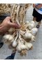 Duble Boy Sarımsak 2 kg - 5