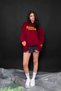 Friends Don'T Lie Printed Oversized Unisex Burgundy Hoodie - 8