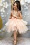 Girl's Sequined Embroidered Katkat Salmon Evening Dress Age 4-7 - 3