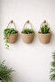 Basket 3-Piece Mini Decorative Cobalt Organizer 12X10 cm (Plants and Hanging Apparatus Not Included)