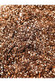 SucculentSoilMagic, Premium Succulent & Cacti Potting Mix. 2.2lb - 2