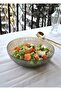 20 cm Glass Salad Plate Smoked Salad Bowl Medium Size Plate for 2-3 People