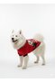Large Breed Sweet Panda Dog Clothes Dog Sweati (11-45kg) - 3