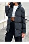 Transitional Mont 094 - 2