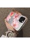 iPhone 16 Pro Max Compatible Floral Pattern Matte Glossy Surface Impact Protection Colorful Silver Case - 5