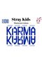Stray Kids Karma Album Karma (Skzoo Ver) Photocard Set (8Pcs) Fanmade - 2