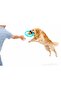 17 cm Durable Dog Frisbee – Fetch Toy for Large Breeds, Squeaky and Teeth-Friendly - 3