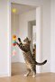 Suction Cup Hanging Cat Toy – Colorful Ball, Furry, with Bell & Fun Cat Toy (1) Pcs - 4