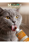 KEDİLER İÇİN MULTIVITAMIN PASTE 2+1 - 2