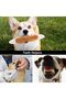 Squishy Plus Squeaky Toys, Plush Small Dog Toys for Dogs, Stuffed Dog Toys with Squeakers, 12 pcs Pu - 3