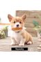 Squishy Plus Squeaky Toys, Plush Small Dog Toys for Dogs, Stuffed Dog Toys with Squeakers, 12 pcs Pu - 4