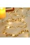 3 Meters Gilded Gold Led Light - Decorative Ambient and New Year Lighting (5496)