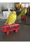 Red Color Parakeet and Skateboard Perch with Wheels for Birds of All Sizes - 3