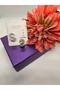 Zircon Stone Silver Color Three-Dimensional Letter S Steel Earrings - 3