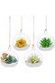 Hanging Glass Globe Candle Holders Set of 12 with Jute Twine & Wire for Tealights Decor, -8cm - 3
