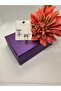 Zircon Stone Silver Color Three-Dimensional Letter t Steel Earrings - 3