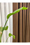 Luxury Linen Background Curtain 1/2.5 Medium Pleat - Dark Brown - 5