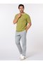The Ripe Kiwi Green Cotton V-Neck Polo Comfort Fit - 7
