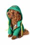 Small Breeds Hooded Special Design Dog Coat – Winter Dog Clothing with Pattern Inside and Snap Button Detail