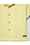 Boys Mustard Striped Shirt and Shorts Set - 4
